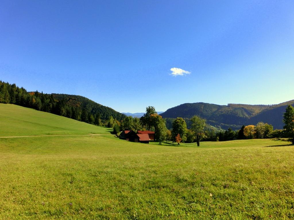 Gaestehaus Forstner Loich Exteriér fotografie